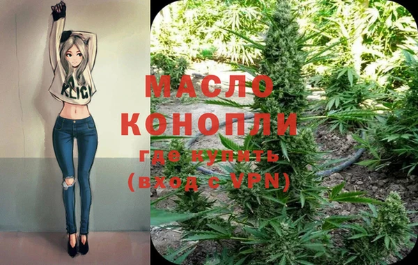 дмт Алексин